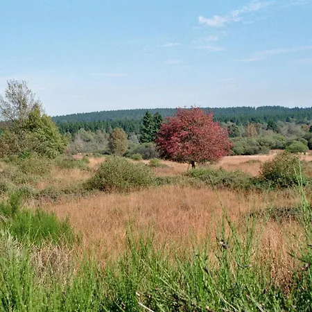 Zum Alten Landrat Monschau