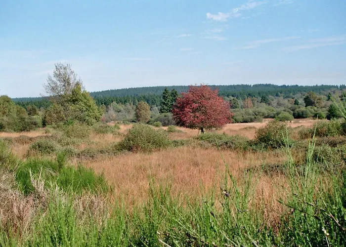 Zum Alten Landrat Μονσάου