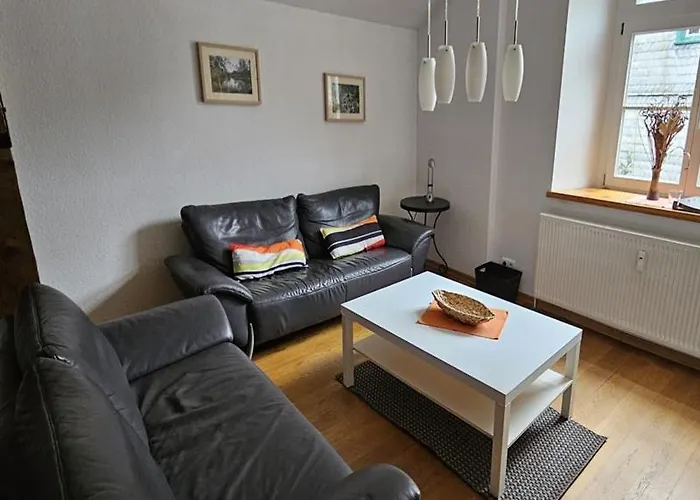 Διαμέρισμα Zum Alten Landrat Μονσάου